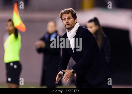 Schaffhausen, Suisse. 19th octobre 2022. SCHAFFHAUSEN, SUISSE - OCTOBRE 19 : Joe Montemurro, entraîneur-chef de la Juventus, gestes lors du match C de la Ligue des champions des femmes de l'UEFA entre le FC Zürich et la Juventus à la Wefox Arena sur 19 octobre 2022 à Schaffhausen, en Suisse. (Marcio Machado/SPP) crédit: SPP Sport presse photo. /Alamy Live News Banque D'Images