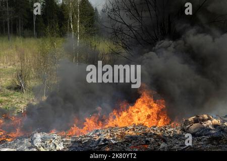 Feu dans la nature. Une décharge illégale est en feu. Fumée noire et feu. Incinération des déchets. Feu en forêt. Urgence. Banque D'Images