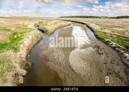 Bassin de marée dans les marais salants entre les bancs de sable et les dunes en face du Sankt Peter-Ording Banque D'Images