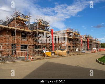 Tilia nouvelles maisons en construction, le Knoll, Landimore Park à la périphérie de Northampton, Royaume-Uni Banque D'Images