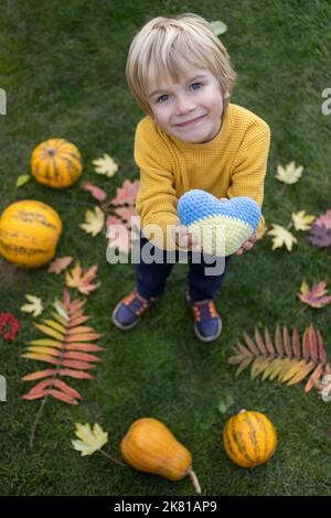 Un garçon souriant, debout au milieu de citrouilles orange et de feuilles d'automne, tient le cœur ukrainien jaune-bleu. Concept de l'ambiance positive de l'automne, demande de paix Banque D'Images