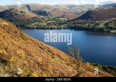 Vue sur le lac Ullswater jusqu'à Sandwick depuis le parc Gowbarrow, Aira Force, Cumbria, Royaume-Uni Banque D'Images