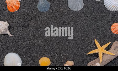 Coques sur fond fin sablonneux avec espace libre. Banque D'Images