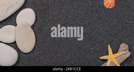 Coques sur fond fin sablonneux avec espace libre. Banque D'Images