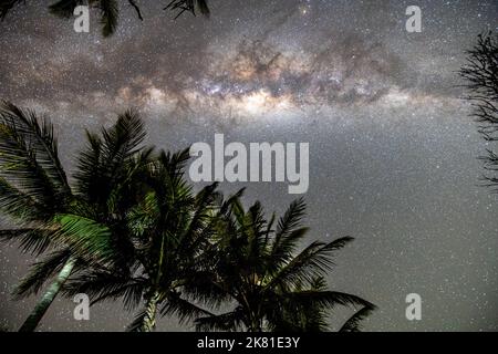 Images de longue exposition de la galaxie laiteuse au-dessus d'une ville locale et avec un feuillage tropical au premier plan. Banque D'Images