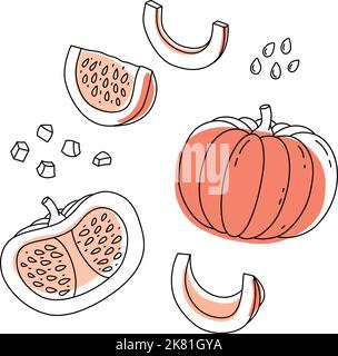 Ensemble de contour de Doodle entier et tranche de citrouille avec spot. Illustration vectorielle dessinée à la main pour un emballage isolé sur fond transparent Illustration de Vecteur