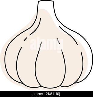 Gousse d'ail avec tache. Illustration vectorielle dessinée à la main pour un emballage isolé sur fond transparent Illustration de Vecteur