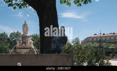 Vue arrière de Fontaine Pradier à Niems. Pigeon debout sur marbre avec Fontaine Pradier en arrière-plan. Sud de la France, printemps 2022. Banque D'Images