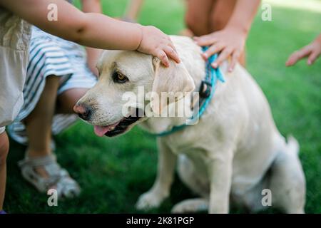 Enfants pat mignon chien en plein air Banque D'Images