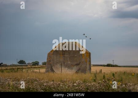 Un « miroir » concret des années d'entre-deux-guerres à Kilnsea, sur la côte du Yorkshire de l'est, au Royaume-Uni Banque D'Images