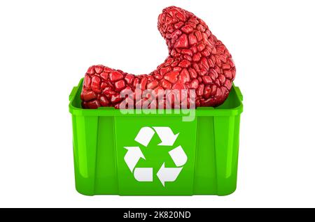 Recyclage de trashcan avec la thyroïde humaine, 3D rendu isolé sur fond blanc Banque D'Images