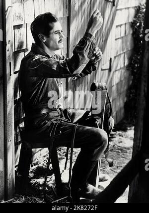 Henry Fonda film le retour de Frank James (USA 1940) personnages : Frank James aka Ben Woodson réalisateur : Fritz Lang 10 août 1940 **AVERTISSEMENT** cette photographie est à usage éditorial exclusif et est la propriété de 20TH CENTURY FOX et/ou du photographe désigné par The film or production Company et ne peut être reproduite que par des publications en liaison avec la promotion du film ci-dessus. Un crédit obligatoire pour 20TH CENTURY FOX est requis. Le photographe doit également être crédité lorsqu'il est connu. Aucune utilisation commerciale ne peut être accordée sans autorisation écrite de The film Company. Banque D'Images