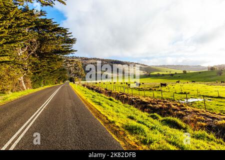 Paysage près de New Norfolk en Tasmanie Australie Banque D'Images