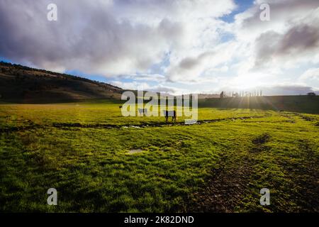 Paysage près de New Norfolk en Tasmanie Australie Banque D'Images