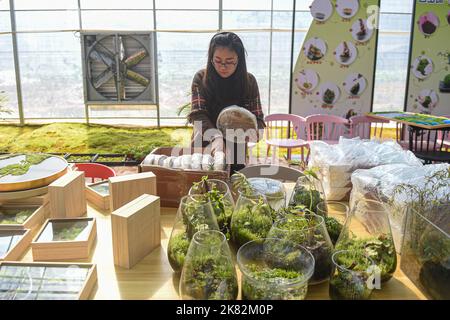 (221020) -- BEIJING, le 20 octobre 2022 (Xinhua) -- Un villageois empaque les produits de mousse commandés en ligne pour livraison dans la ville de Maoyang de la ville de Lishui, dans la province de Zhejiang en Chine orientale, le 24 février 2021. (Xinhua/Jiang Han) Banque D'Images