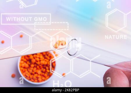 Recherche et développement de nouvelles variétés de semences. Sélection et sélection. Banque D'Images