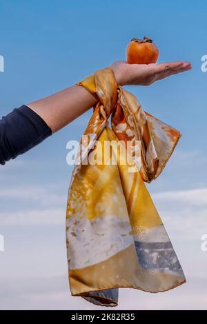 Une main féminine décorée d'un foulard coloré tient un pésimmon mûr contre le ciel Banque D'Images