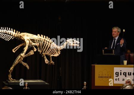 Vente aux enchères du squelette du dinosaure Zephyr à l'Hôtel Drouot, sur 20 octobre 2022 à Paris, France. Le squelette fossilisé d'un Zephyr, un dinosaure de la famille iguanodon qui vivait il y a plus de 150 millions d'années, a été vendu pour 535 000 euros. Découvert en 2019 aux États-Unis, au Colorado, il avait été estimé à 400 000 euros. Photo Laurent Zabulon/ABACAPRESS.COM Banque D'Images