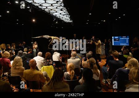 Vente aux enchères du squelette du dinosaure Zephyr à l'Hôtel Drouot, sur 20 octobre 2022 à Paris, France. Le squelette fossilisé d'un Zephyr, un dinosaure de la famille iguanodon qui vivait il y a plus de 150 millions d'années, a été vendu pour 535 000 euros. Découvert en 2019 aux États-Unis, au Colorado, il avait été estimé à 400 000 euros. Photo Laurent Zabulon/ABACAPRESS.COM Banque D'Images
