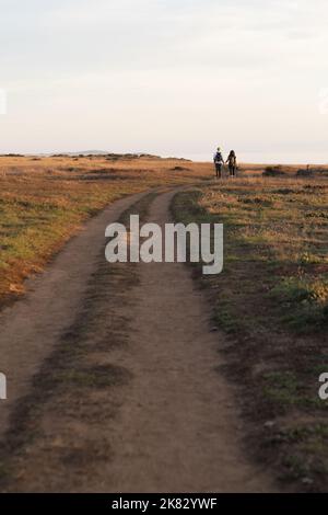 Un jeune couple portant des sacs à dos et marchant main dans la main sur un sentier à l'extérieur, comme vu de l'arrière. Banque D'Images