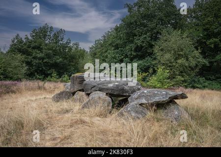 Dolmen D41, Emmen Noord commune d'Emmen dans la province néerlandaise de Drenthe est un tombeau néolithique et un monument historique protégé dans un env naturel Banque D'Images
