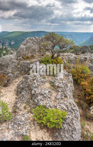 La ville de pierres, dans le Parc naturel régional des Grands Causses, site naturel classé avec les Gorges de la Dourbie au fond. Aveyron, Cévennes, France. Banque D'Images