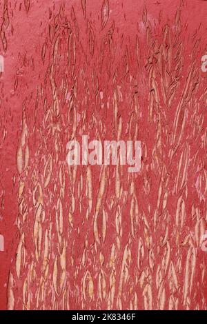 Vue du châssis complet d'une plaque de détail en acier de construction. Banque D'Images