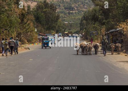 WOLLEKA, ETHIOPIE - 14 MARS 2019 : trafic routier dans le village de Wolleka, Ethiopie. Banque D'Images