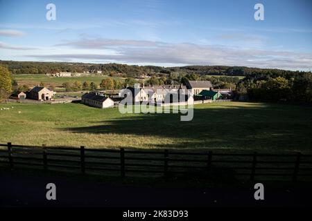 Vue sur un village de Pit à thème de 1900s au Beamish Living Museum, où se trouve une communauté de colliery à une époque de pic de production de charbon dans le nord-est de l'Angleterre Banque D'Images