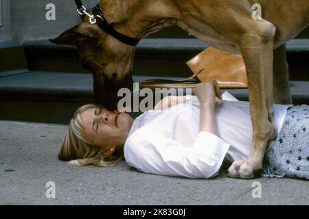 Monica Potter & Dog film : Head Over Heels (USA 2001) personnages : Amanda & Director : Mark Waters 02 février 2001 **AVERTISSEMENT** cette photographie est destinée à un usage éditorial exclusif et est le droit d'auteur d'UNIVERSAL et/ou du photographe attribué par la Société de film ou de production et ne peut être reproduite que par des publications en conjonction avec la promotion du film ci-dessus. Un crédit obligatoire pour UNIVERSEL est requis. Le photographe doit également être crédité lorsqu'il est connu. Aucune utilisation commerciale ne peut être accordée sans l'autorisation écrite de la Société du film. Banque D'Images