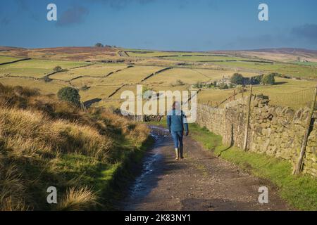 17.10.2022 Haworth, West Yorkshire, Royaume-Uni colline de femme à pied près de Haworth dans West Yorkshire en direction du sentier vers Wuthering Heights Banque D'Images