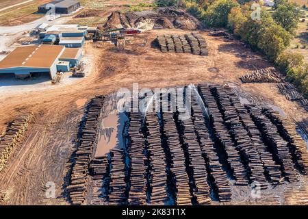 Vue aérienne par drone d'une scierie, d'une cour de piles de billes avec des arroseurs qui garent les billes humides, des camions et de l'équipement d'exploitation forestière. Au Tennessee aux États-Unis Banque D'Images