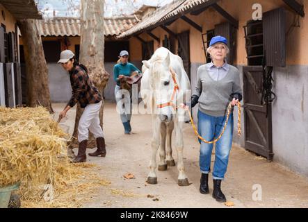 Une femme âgée dirige un cheval de course le long des stands à l'extérieur tandis qu'une femme asiatique agite du foin Banque D'Images