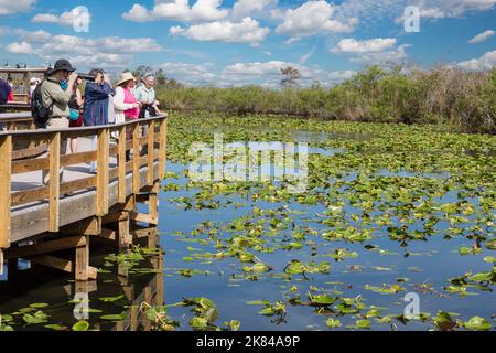 Le Parc National des Everglades, en Floride. Les visiteurs sur l'anhinga Trail à pied. Conseil élevée Banque D'Images