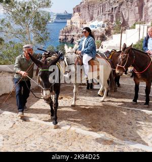 Des ânes à Fira, emportant les touristes du Vieux Port (derrière) au centre-ville. Île grecque des Cyclades de Santorin dans la mer Égée Banque D'Images