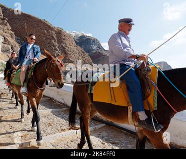 Des ânes à Fira, emportant les touristes du Vieux Port au centre-ville. Île grecque des Cyclades de Santorin dans la mer Égée Banque D'Images