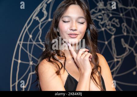 Lily Chee participe au gala annuel 2022 de la DKMS à la rue Cipriani Wall sur 20 octobre 2022 Banque D'Images