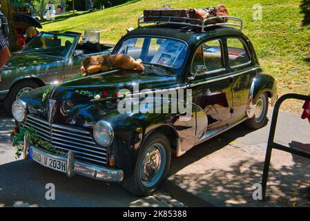 BADEN BADEN, ALLEMAGNE - JUILLET 2022: Black Peugeot 203 1948, réunion de l'oldtimer à Kurpark. Banque D'Images