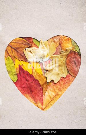 Forme de coeur en feuilles de couleur automnale. Concept de la saison d'automne, espace de copie. Banque D'Images
