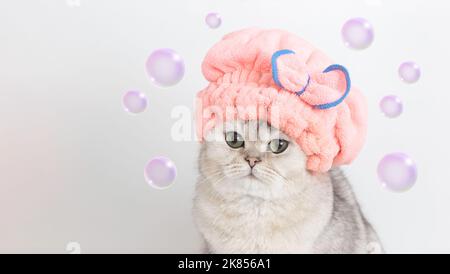 Une large bannière avec un chat blanc drôle après avoir baigné avec des bulles de savon volantes, dans une casquette de terreux rose Banque D'Images