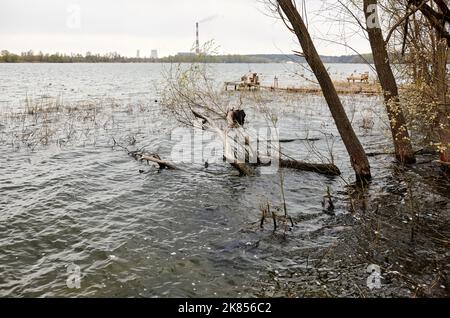 Paysage de la nature sur fond de centrale électrique à Kiev, Ukraine. Vue de tuyau avec fumée après la combustion du charbon. Concept de problèmes écologiques Banque D'Images
