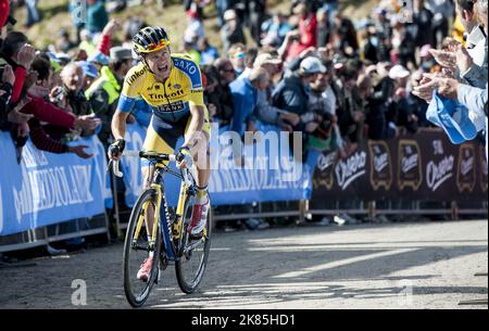 Nicolas Roche (IRL) Tinkoff-Saxo pendant la phase 20 du Giro d'italia 2014 Banque D'Images