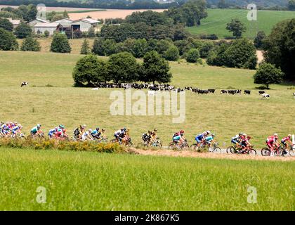 Le peloton pendant la phase 7 du Tour de France entre Fougères et Chartres sur 13 juillet 2018. Banque D'Images