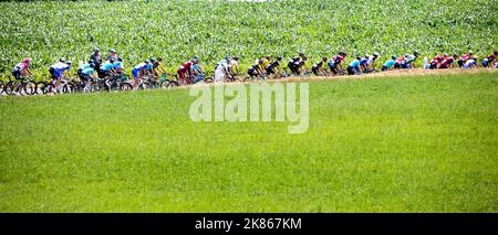 Le peloton pendant la phase 7 du Tour de France entre Fougères et Chartres sur 13 juillet 2018. Banque D'Images