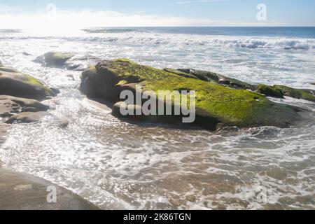 20 octobre 2022, la Jolla, CA, États-Unis d'Amérique : le varech et la mousse ont couvert des roches verdantes à la plage de la rue Marine le jeudi 20 octobre 2022, à la Jolla, Californie (image de crédit : © Rishi Deka/ZUMA Press Wire) Banque D'Images