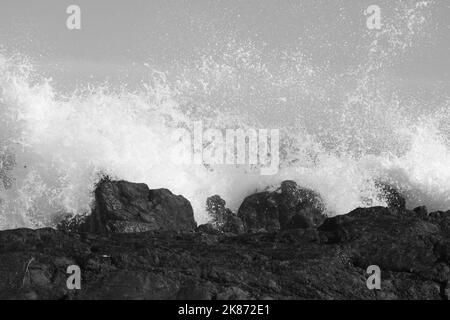 Scènes Black & White Beach Banque D'Images