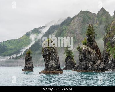 Une vue sur Spire Cove dans Resurrection Bay, dans le parc national Kenai Fjords, Alaska, États-Unis d'Amérique, Amérique du Nord Banque D'Images