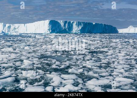 D'énormes icebergs du Ilulissat Icefjord se sont retrouvés dans une ancienne moraine terminale à Ilulissat, Groenland, Danemark, régions polaires