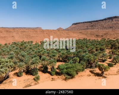 L'oasis de Diouk, Mauritanie, Sahara, Afrique de l'Ouest, Afrique Banque D'Images