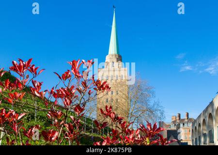 Nuffield College Library, Oxford, Oxfordshire, Angleterre, Royaume-Uni, Europe Banque D'Images